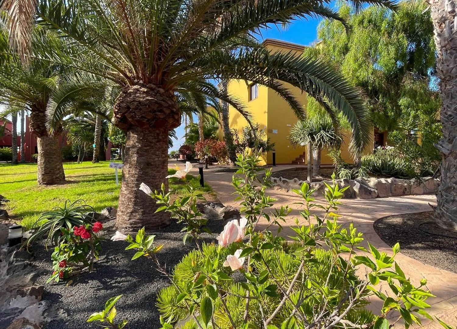 Karol Home By Best Holidays Fuerteventura Corralejo Spagna